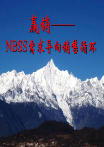 NBSS需求导向销售循环