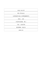 石药集团中润公司营销战略研究
