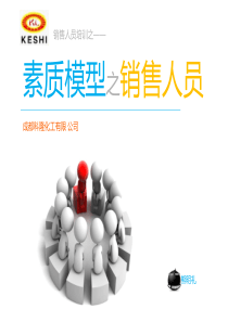 销售人员素质模型(新)