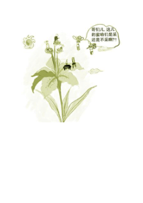 仿生建筑
