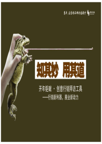 XXXX_创意行销工具祝您开门红、红红火火《中国人寿》