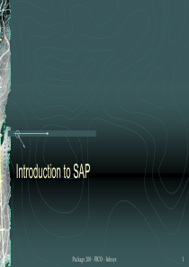 简介商务ppt模板之客户定位与营销战略sap-into