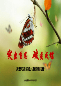 XXXX年永定河孔雀城营销全案(突出重围,破茧成蝶)