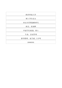 西安市营销战略研究