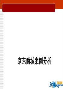 京东商城全方位营销分析