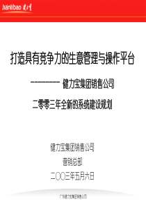 健力宝集团销售系统建设规划