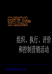公司组织、执行、评价与控制营销活动(1)
