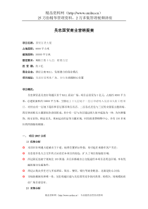 吴忠国贸商业营销提案(doc30页)