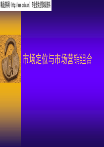 市场定位与市场营销组合