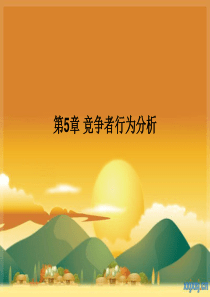 市场营销第5章竞争者行为