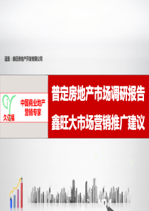 普定楼市调研及营销建议-戚-617