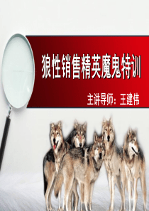 狼性销售精英魔鬼特训
