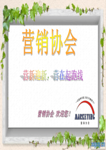 番禺理工XXXX营销协会迎新晚会(修)