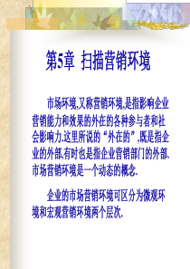 第5章营销环境