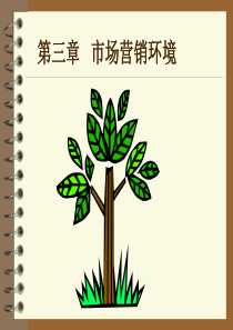 第三章营销环境