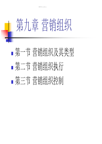 第九章营销组织