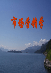 精品课程市场营销学(完整版)