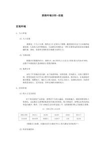 营销环境分析-佳能
