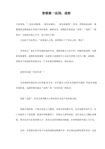 营销第一法则：造势(doc 11)