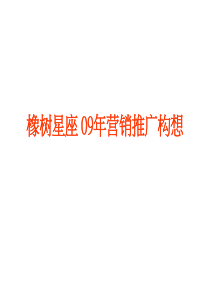 西安橡树星座09年营销推广构