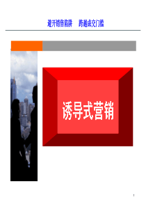 诱导销售（PDF84页）