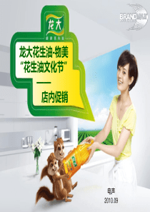 龙大花生油文化节店销方案-电声