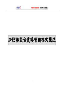 夕阳美整合直接营销模式概述(1)