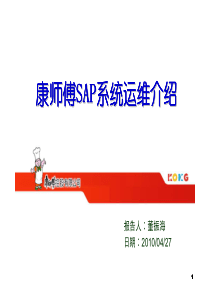 康师傅SAP系统运维介绍