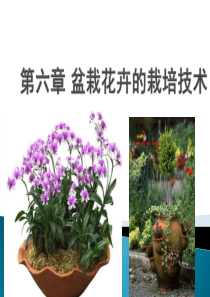 第六章-盆栽花卉的栽培技术