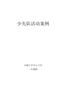 16篇少先队活动课案例