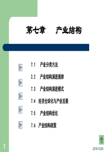 产业经济学产业结构
