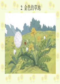 2、金色的草地-(2)