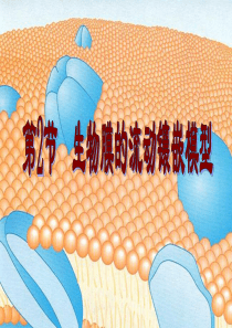 生物膜的流动镶嵌模型
