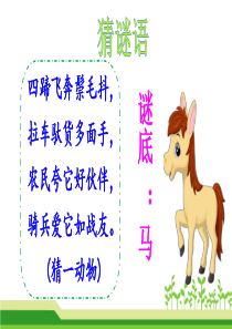 14.小马过河