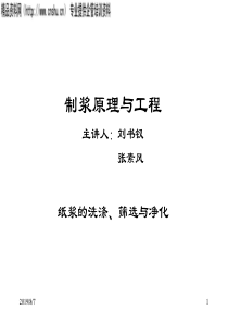 制浆原理与工程-纸浆的洗涤、筛选与净化（PPT96页）
