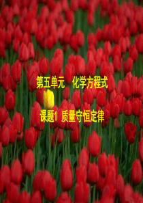 九年级化学质量守恒定律