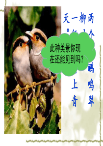 动物在生物圈中的作用ppt