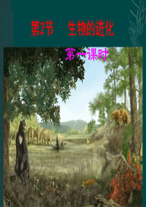 包括寒武纪