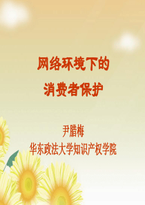 在线消费者保护