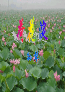 《荷花淀》ppt课件