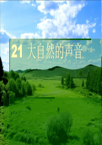 21大自然的声音