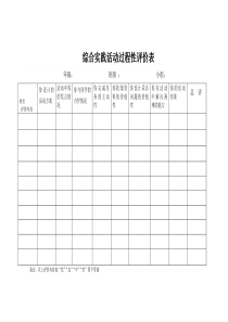 综合实践活动过程性评价表