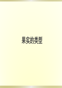 果实的类型