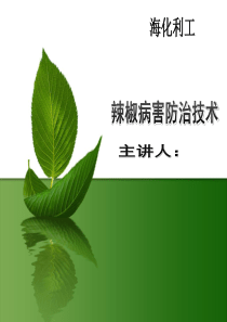 辣椒高产栽培技术