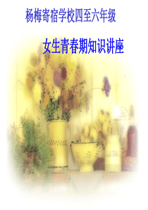 小学四至六年级女生青春期知识讲座