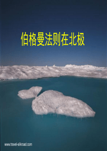 伯格曼法则在北极课件