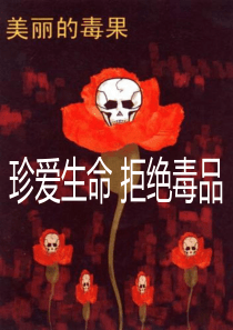禁毒主题班会课件