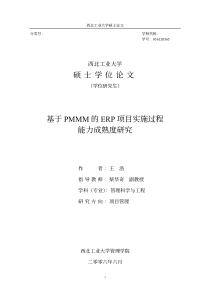 基于PMMM的ERP项目实施过程
