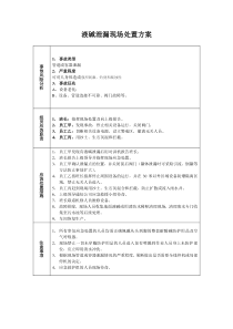 液碱泄漏现场处置方案