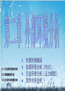 PEST与五力模型(精品)